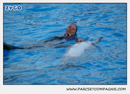 Marineland - Dauphins - Spectacle 17h15 - 1104