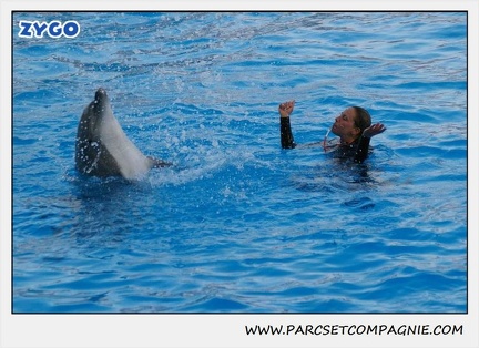 Marineland - Dauphins - Spectacle 17h15 - 1105