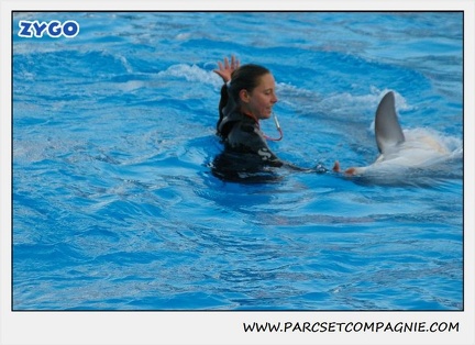Marineland - Dauphins - Spectacle 17h15 - 1106