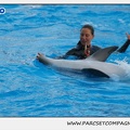 Marineland - Dauphins - Spectacle 17h15 - 1107