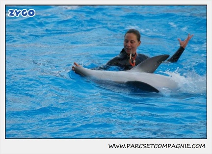 Marineland - Dauphins - Spectacle 17h15 - 1107