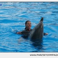 Marineland - Dauphins - Spectacle 17h15 - 1111
