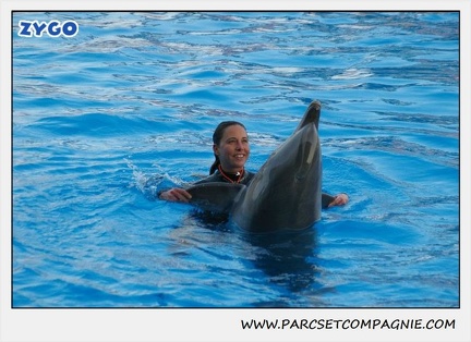 Marineland - Dauphins - Spectacle 17h15 - 1111