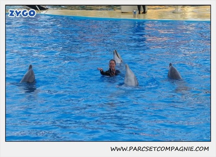Marineland - Dauphins - Spectacle 17h15 - 1116