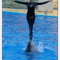 Marineland - Dauphins - Spectacle 17h15 - 1119