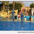 Marineland - Dauphins - Spectacle 17h15 - 1121