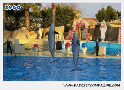 Marineland - Dauphins - Spectacle 17h15 - 1121