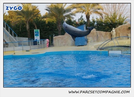 Marineland - Dauphins - Spectacle 17h15 - 1123