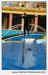 Marineland - Dauphins - Spectacle 17h15 - 1124