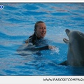 Marineland - Dauphins - Spectacle 17h15 - 1125