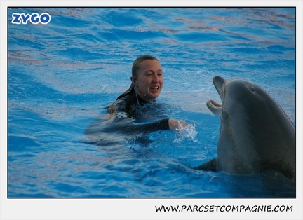 Marineland - Dauphins - Spectacle 17h15 - 1125