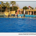 Marineland - Dauphins - Spectacle 17h15 - 1126