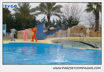 Marineland - Dauphins - Spectacle 17h15 - 1246