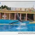 Marineland - Dauphins - Spectacle 17h15 - 1247