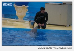Marineland - Dauphins - Spectacle 17h15 - 1248
