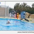 Marineland - Dauphins - Spectacle 17h15 - 1249