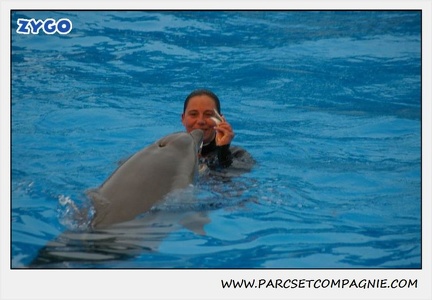 Marineland - Dauphins - Spectacle 17h15 - 1250