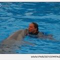Marineland - Dauphins - Spectacle 17h15 - 1251
