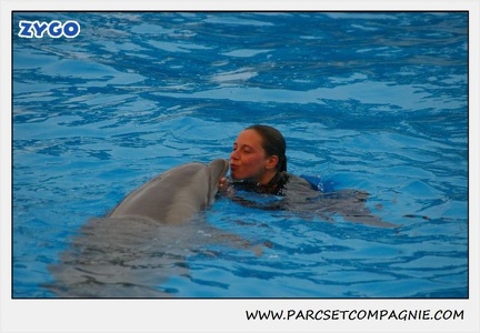 Marineland - Dauphins - Spectacle 17h15 - 1251