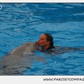 Marineland - Dauphins - Spectacle 17h15 - 1252