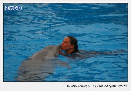 Marineland - Dauphins - Spectacle 17h15 - 1252