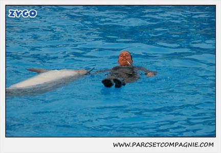 Marineland - Dauphins - Spectacle 17h15 - 1253