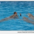 Marineland - Dauphins - Spectacle 17h15 - 1254