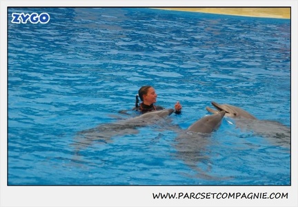 Marineland - Dauphins - Spectacle 17h15 - 1255