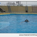 Marineland - Dauphins - Spectacle 17h15 - 1256