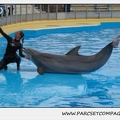 Marineland - Dauphins - Spectacle 17h15 - 1257