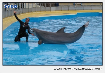 Marineland - Dauphins - Spectacle 17h15 - 1258