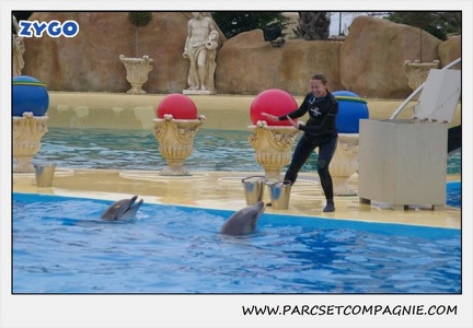 Marineland - Dauphins - Spectacle 17h15 - 1260
