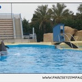 Marineland - Dauphins - Spectacle 17h15 - 1261