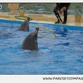 Marineland - Dauphins - Spectacle 17h15 - 1263