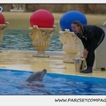 Marineland - Dauphins - Spectacle 17h15 - 1264