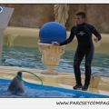 Marineland - Dauphins - Spectacle 17h15 - 1265