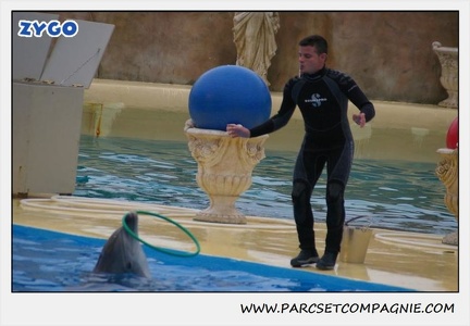 Marineland - Dauphins - Spectacle 17h15 - 1265
