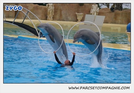 Marineland - Dauphins - Spectacle 17h15 - 1266