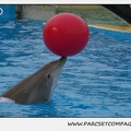 Marineland - Dauphins - Spectacle 17h15 - 1267