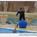 Marineland - Dauphins - Spectacle 17h15 - 1268