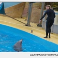 Marineland - Dauphins - Spectacle 17h15 - 1269