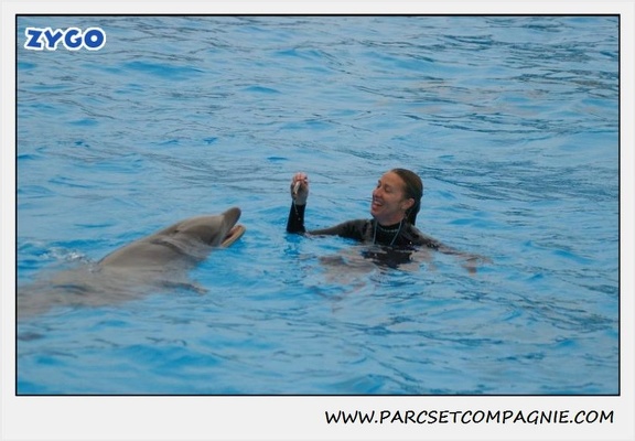 Marineland - Dauphins - Spectacle 17h15 - 1270
