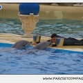 Marineland - Dauphins - Spectacle 17h15 - 1271