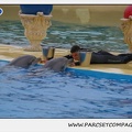 Marineland - Dauphins - Spectacle 17h15 - 1272