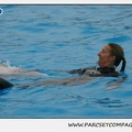 Marineland - Dauphins - Spectacle 17h15 - 1273