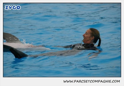 Marineland - Dauphins - Spectacle 17h15 - 1273