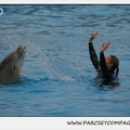 Marineland - Dauphins - Spectacle 17h15 - 1274