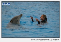 Marineland - Dauphins - Spectacle 17h15 - 1275