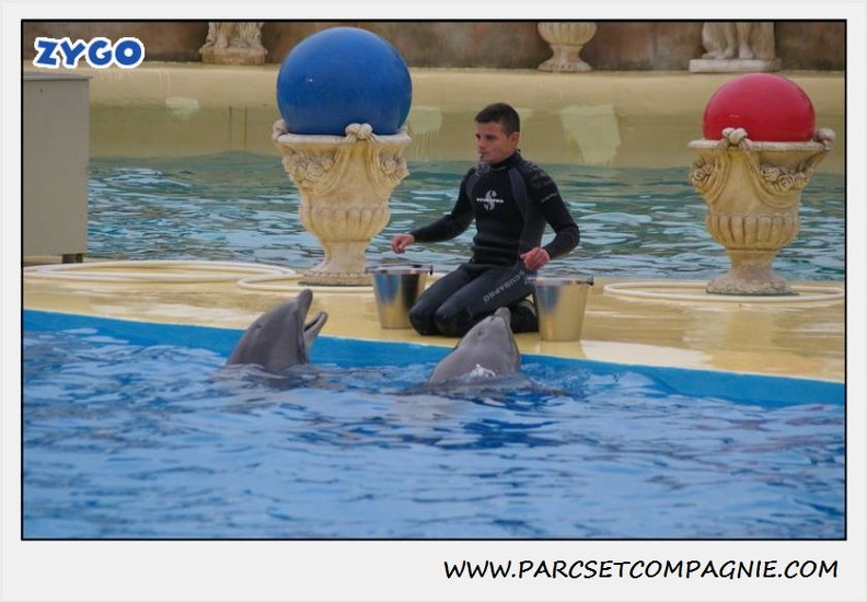 Marineland - Dauphins - Spectacle 17h15 - 1276