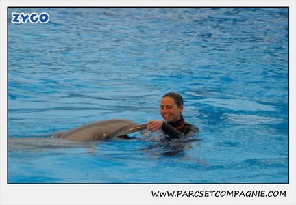 Marineland - Dauphins - Spectacle 17h15 - 1277